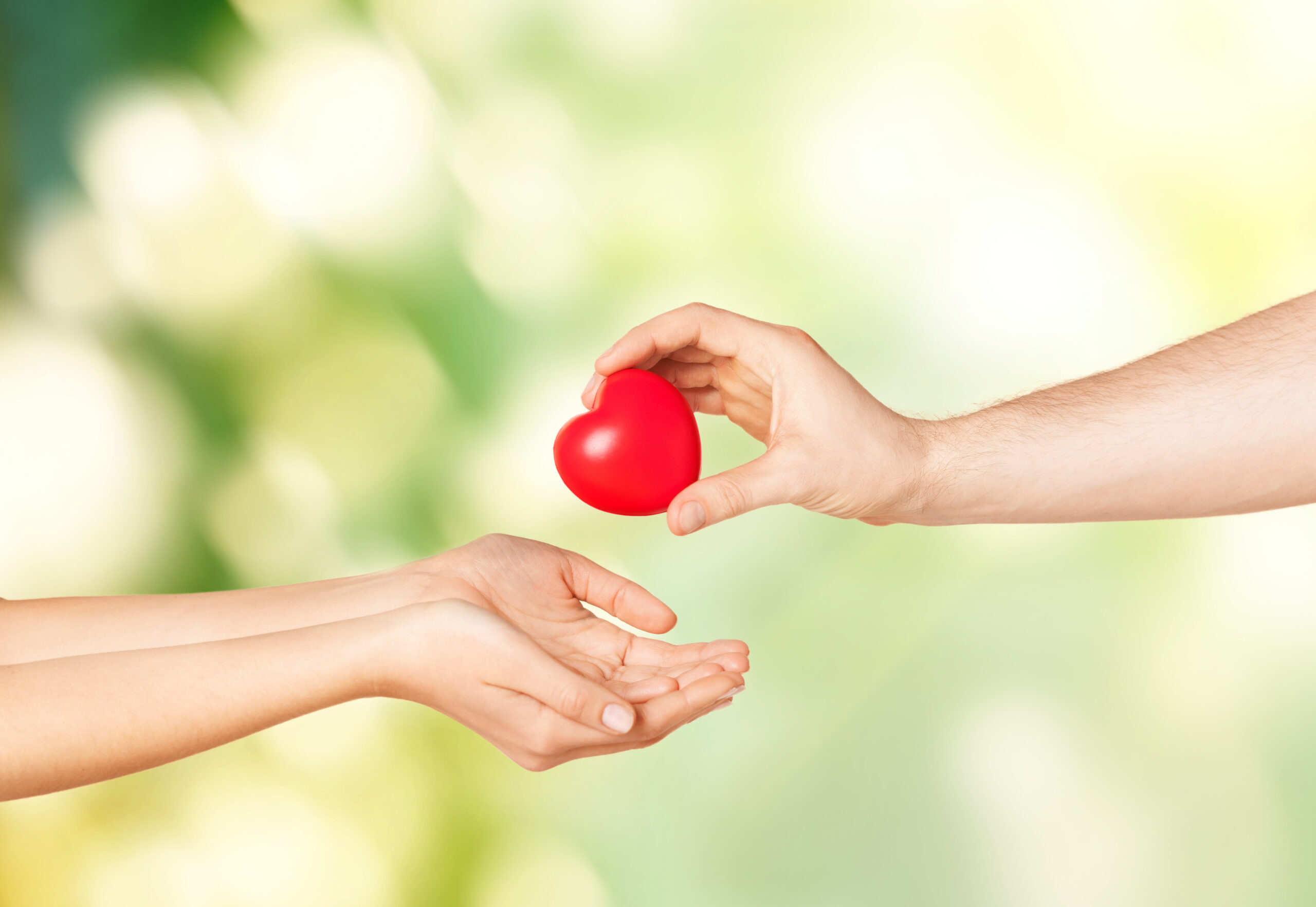Leaving Charitable Gifts in Your Will